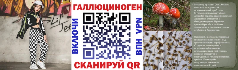 Галлюциногенные грибы Cubensis  цены наркотик  маркетплейс формула  Амурск 