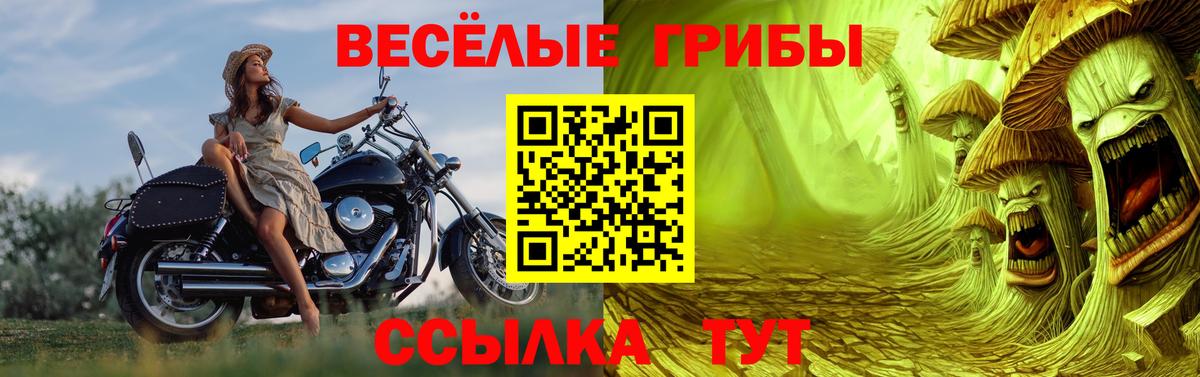 Галлюциногенные грибы ЛСД  Галлюциногенные грибы MAGIC MUSHROOMS  Вход с VPN  сколько стоит  Амурск 