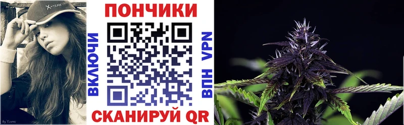 купить наркотики сайты  Амурск  Бошки марихуана VHQ 